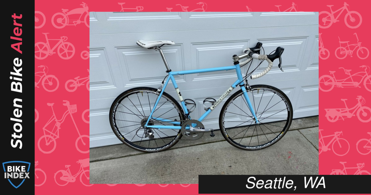 Stolen 2009 Patrick Cycles Odi steel custom