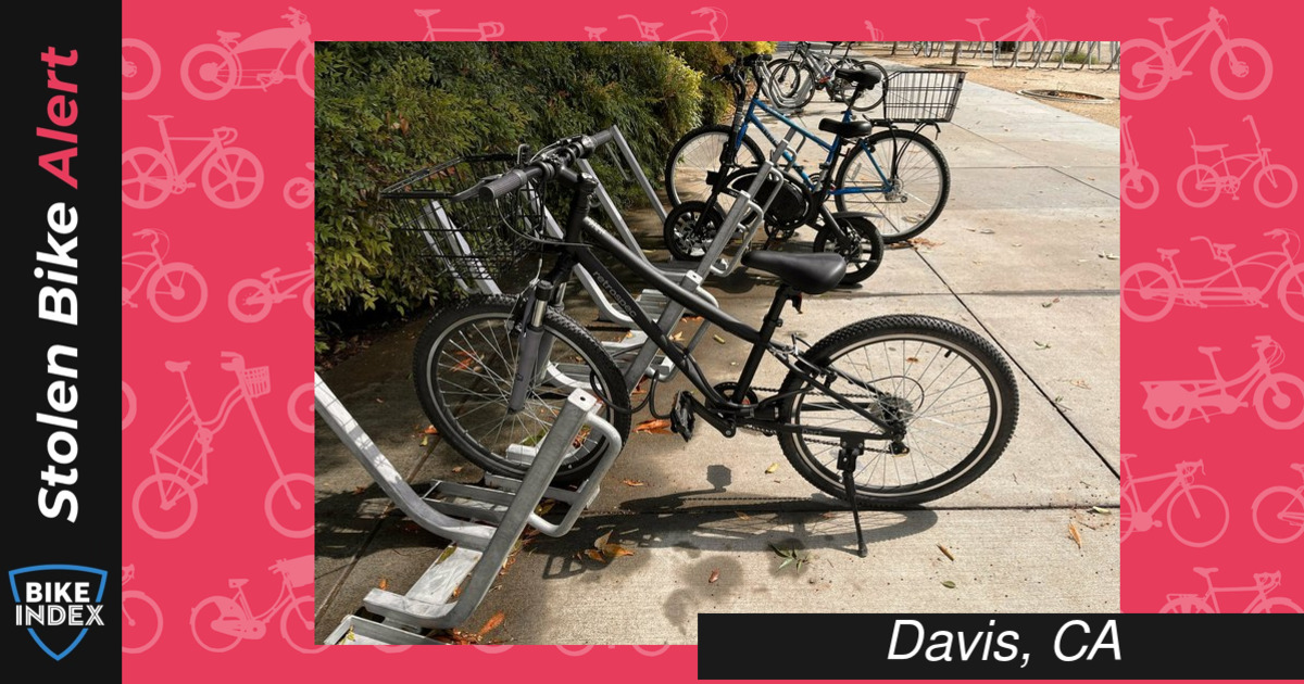 Stolen 2022 Retrospec Dart