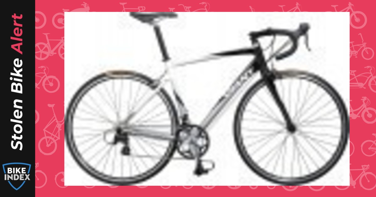 Stolen 2010 Giant Defy 4