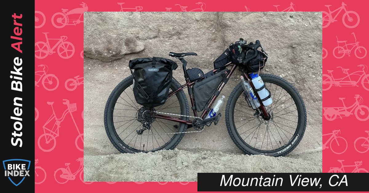 Stolen 2020 Salsa Fargo