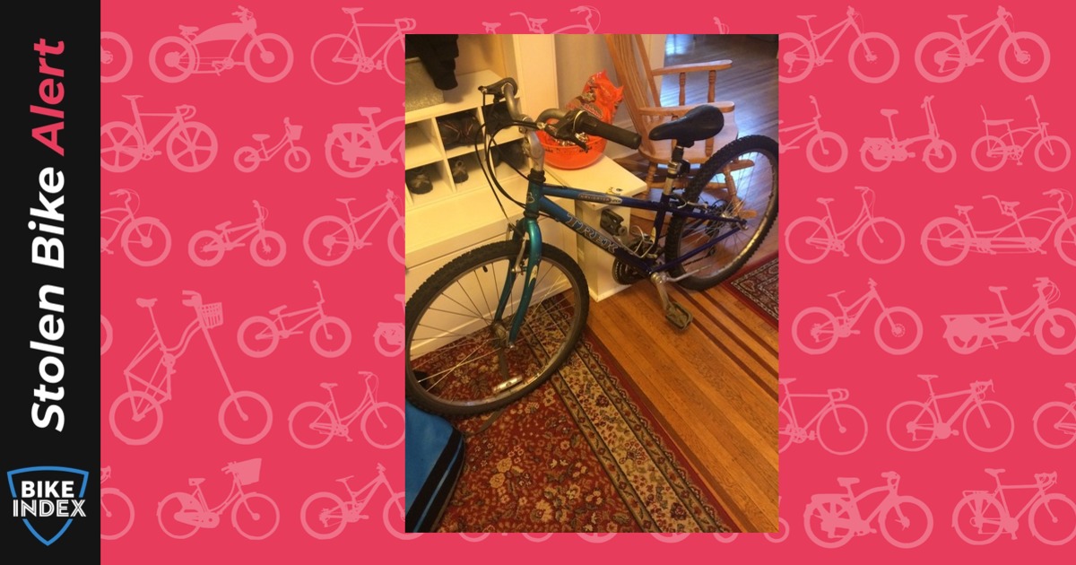 Stolen 2004 Trek Navigator 200