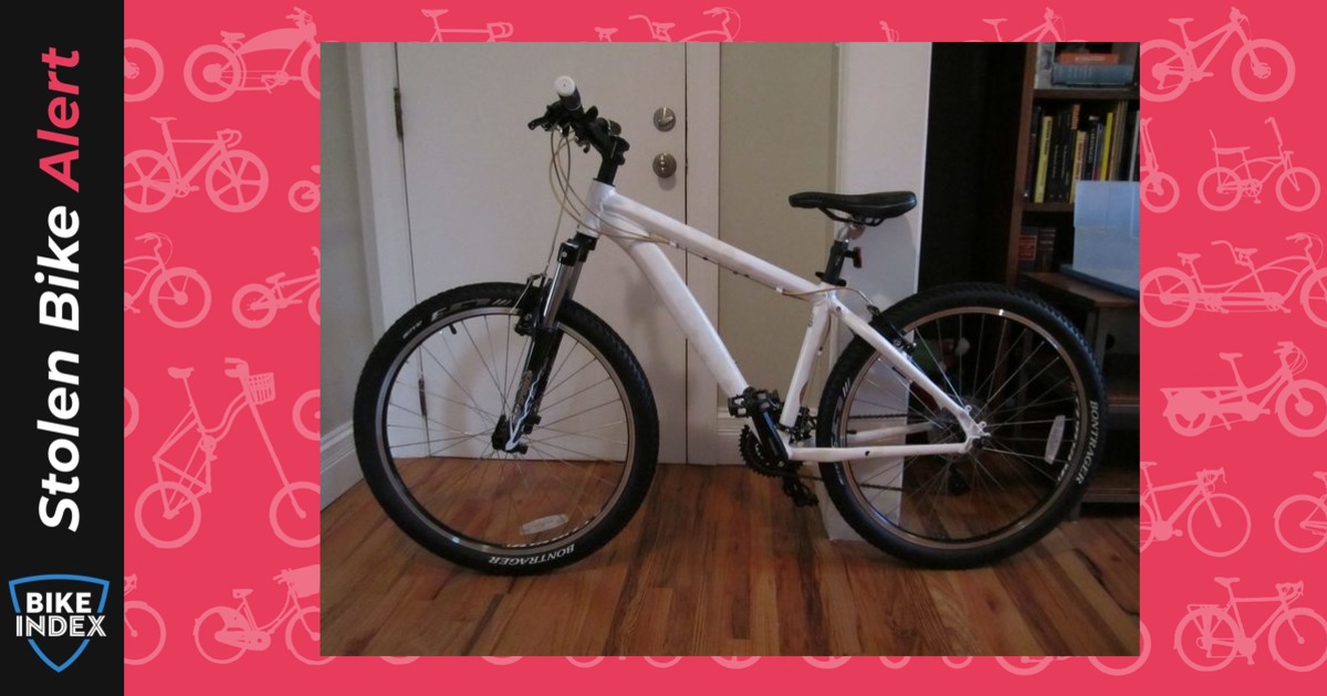 Stolen 2010 Trek Skye SL