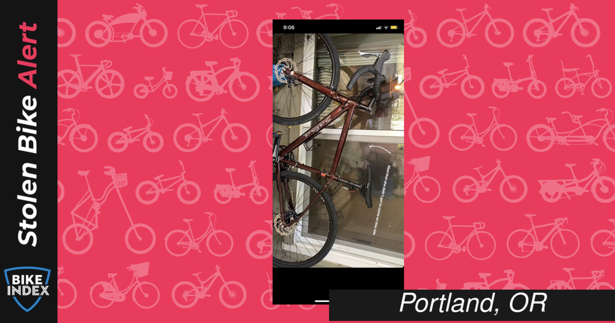 2019 salsa journeyman claris