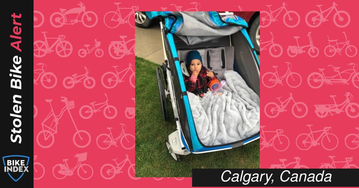 chariot cx2 bike trailer