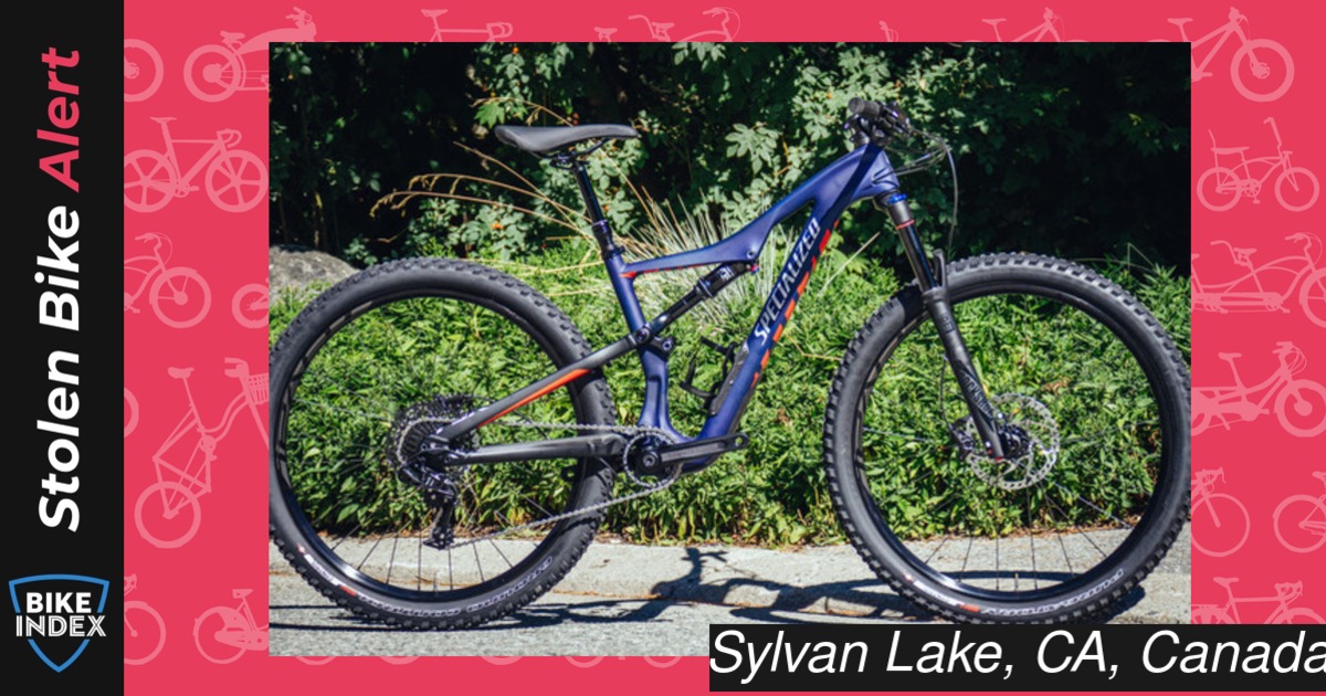 specialized camber women