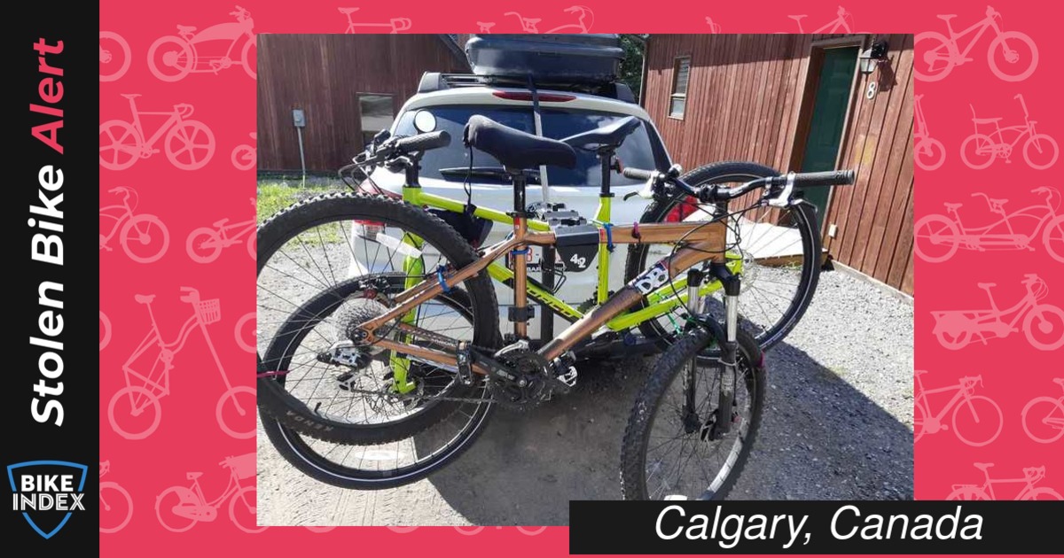 Stolen 2010 Diamondback SL ROX SHOCKS