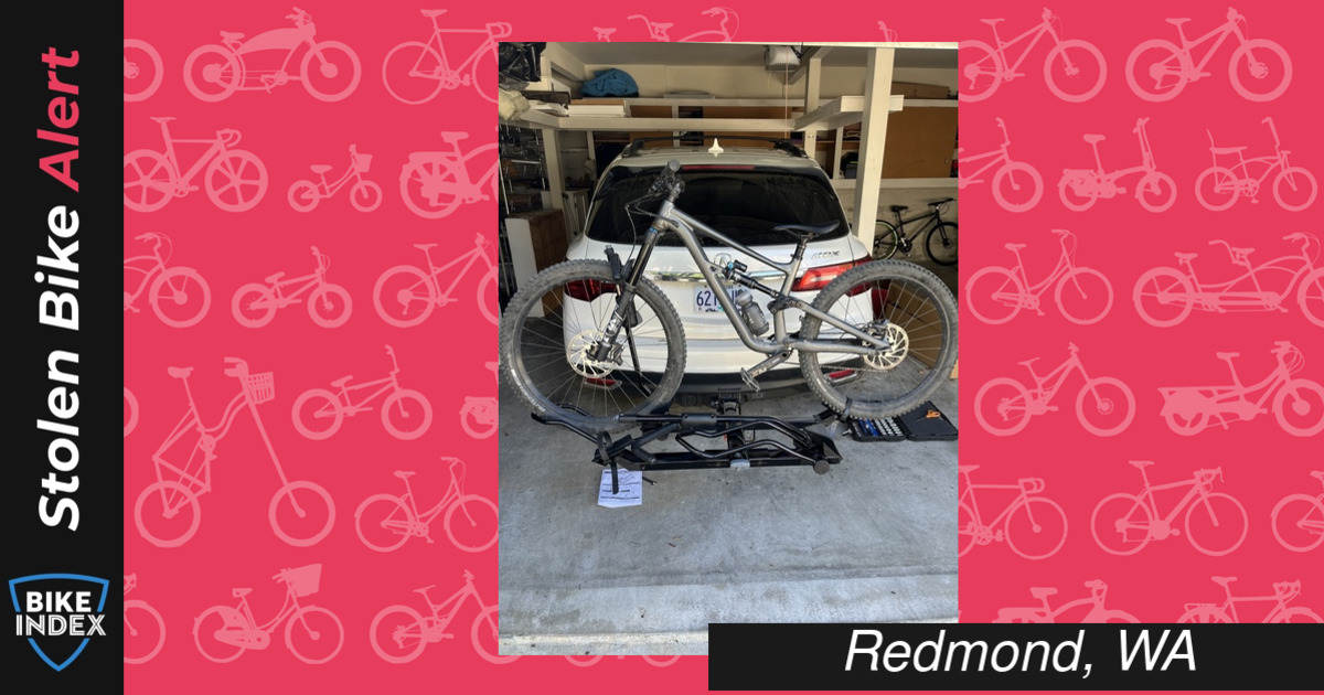 stolen-2021-specialized-status-160