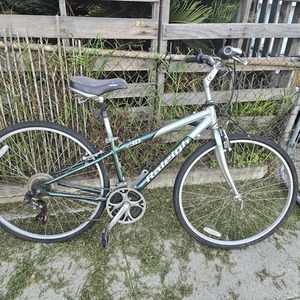 Raleigh C30
