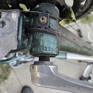 Raleigh C30 Green