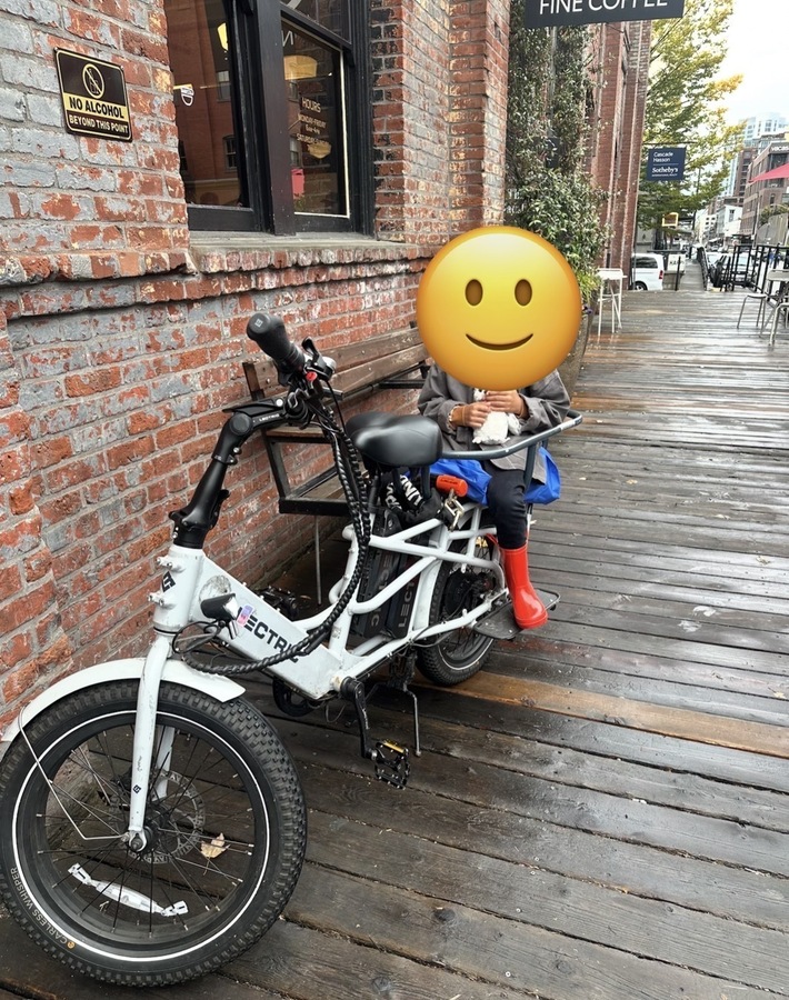 Cargo Bike Rear photo