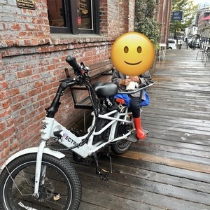 2023 Lectric eBikes Xpedition Cargo cargo bike rear White