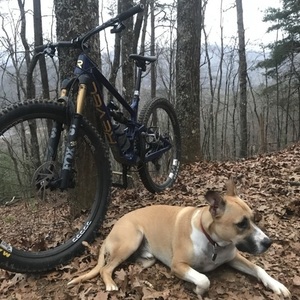 2019 Revel Rascal Blue