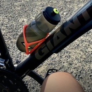 2018 Giant Roam 0 Silver, gray or bare metal