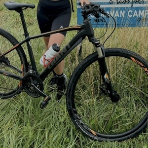 2018 Giant Roam 0 Silver, gray or bare metal