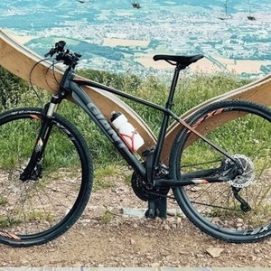 2018 Giant Roam 0 Silver, gray or bare metal