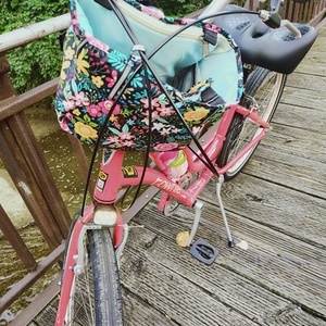 2025 Trek Townie 7D Step Thru Orange