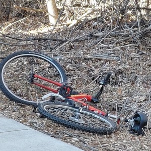 Cannondale Super V-700 Red