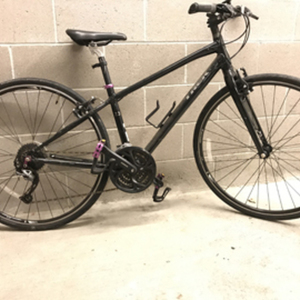 2015 Trek FX 7.3 Black