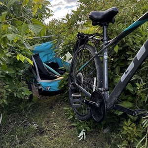 GT Bicycles Transeo Silver, gray or bare metal and Teal