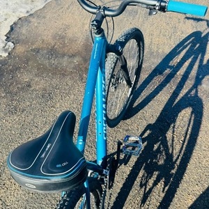 2019 Specialized 91519-50 Blue