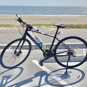 2021 Trek FX 3 Disc Women's Model 585818 Black, Pink, and Purple