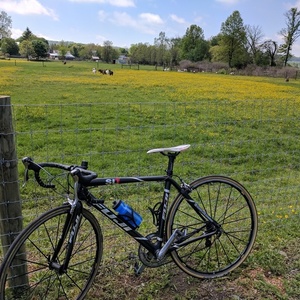 Fuji Black and Silver or Gray