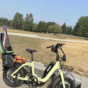 2021 Envo Flex urban Yellow or Gold and Black