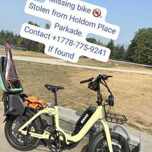 2021 Envo Flex urban Yellow or Gold and Black