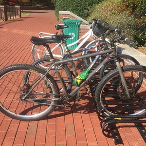 Raleigh 4130 Silver or Gray