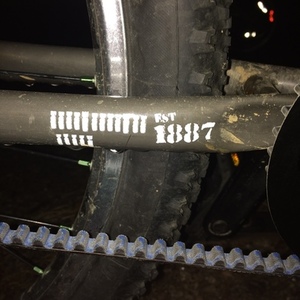 Raleigh 4130 Silver or Gray