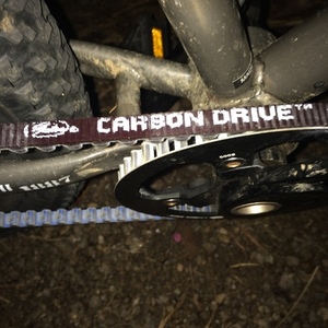 Raleigh 4130 Silver or Gray