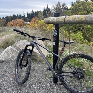 2022 Specialized Fuse Comp 29 (CUSTOM) Silver, gray or bare metal, Black, and Pink