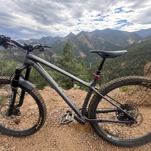 2022 Specialized Fuse Comp 29 (CUSTOM) Silver, gray or bare metal, Black, and Pink