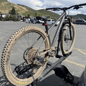 2022 Specialized Fuse Comp 29 (CUSTOM) Silver, gray or bare metal, Black, and Pink