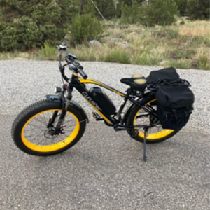 2024 Cyrusher XF 650 Black and Yellow or Gold