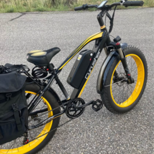 2024 Cyrusher XF 650 Black and Yellow or Gold