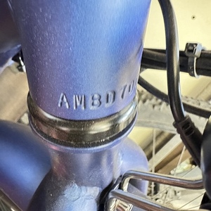 2025 Other UrbanPace Blue