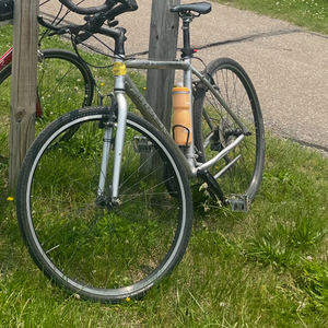 Trek 7.2FX Silver, gray or bare metal