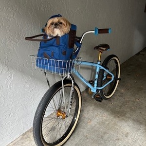 2022 SE Bikes OM Flyer Blue