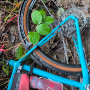 2024 Norco Bikes Search Teal