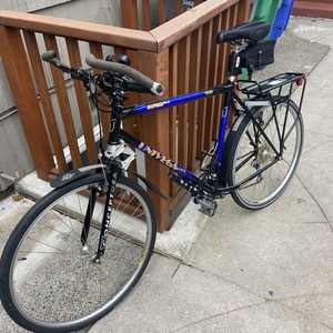 Univega Alpina S6.5 Blue