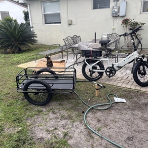 2025 Lectric eBikes Xp4 step thru White