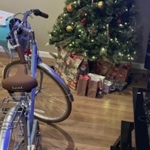 Kent International Inc. Kent Winslow 700c Hybrid Green and Brown