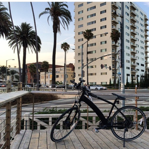 2016 Easy Motion NEO CARBON Black