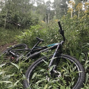 2016 Specialized rhyme FSR Expert Carbon 650B Black