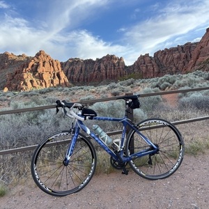 2011 Trek Madone 4.7 WSD Blue