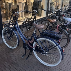2024 Cortina Cycles E-U4 transport 50 fiets Blue