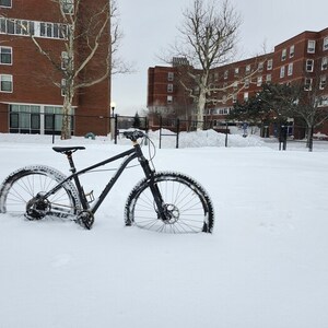 2020 Cannondale Trail 8 Silver, gray or bare metal