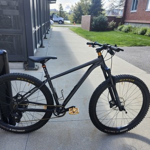 2020 Cannondale Trail 8 Silver, gray or bare metal