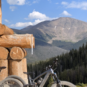 2023 Trek Fuel EX8 Black and Silver, gray or bare metal